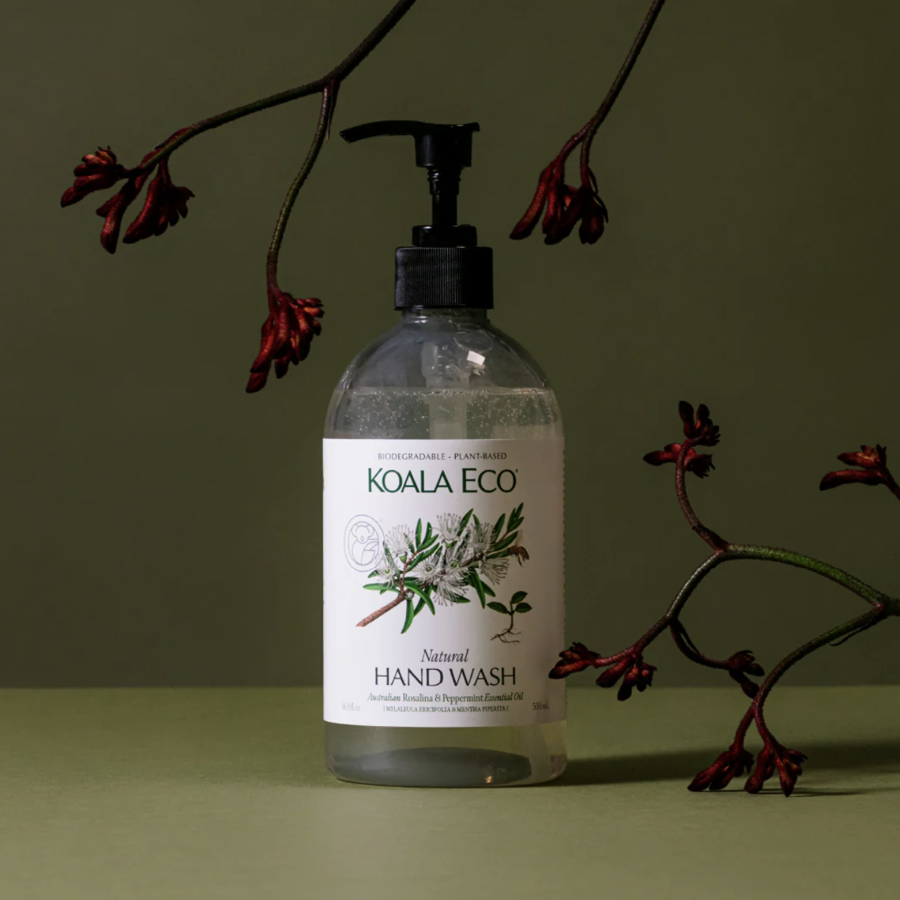Hand Wash