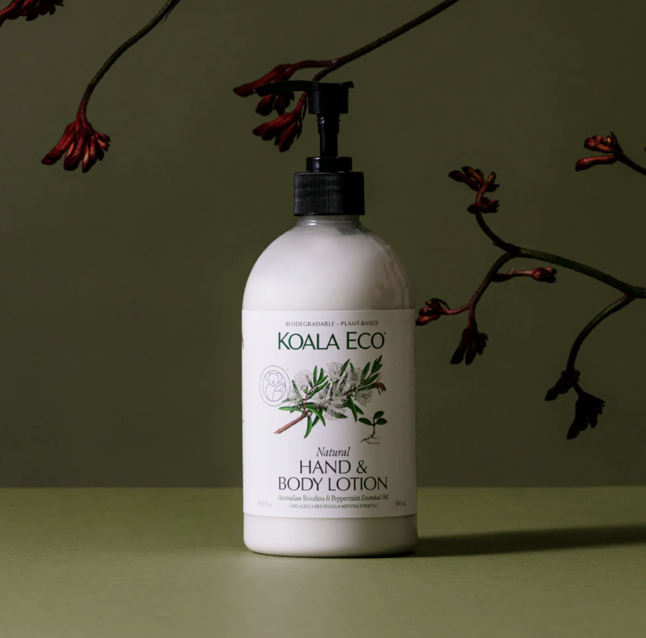 Hand & Body Lotion